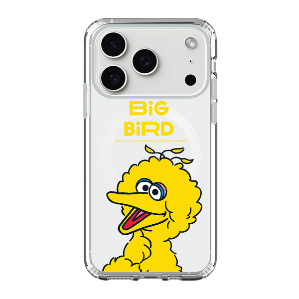 Sesame Street iPhone Case / Android Phone Case (SS83)