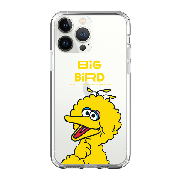 Sesame Street iPhone Case / Android Phone Case (SS83)