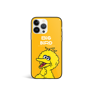 Sesame Street Glossy iPhone Case / Android Case (SS83G)